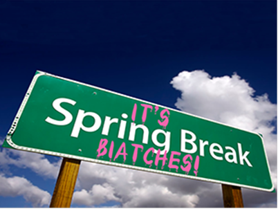 Photo Of Spring Break Biatches Sign