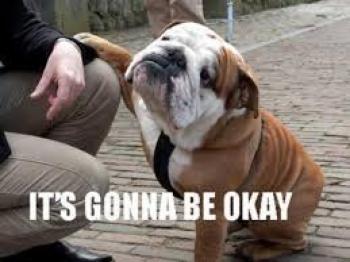 Photo Of A Dog Saying It Is Going To Be Okay