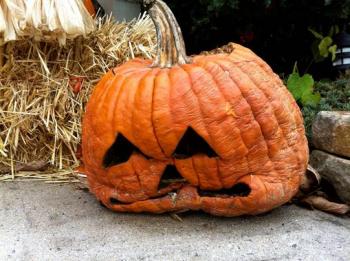 Photo Of Rotting Pumpkin