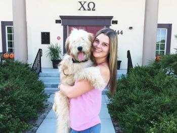 Sorority House Dog